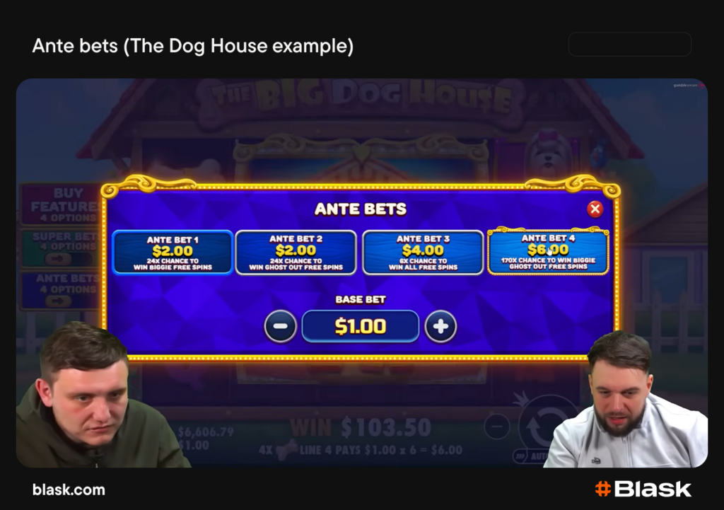 Ante bets buy - The Dog House (Pragmatic Play) example