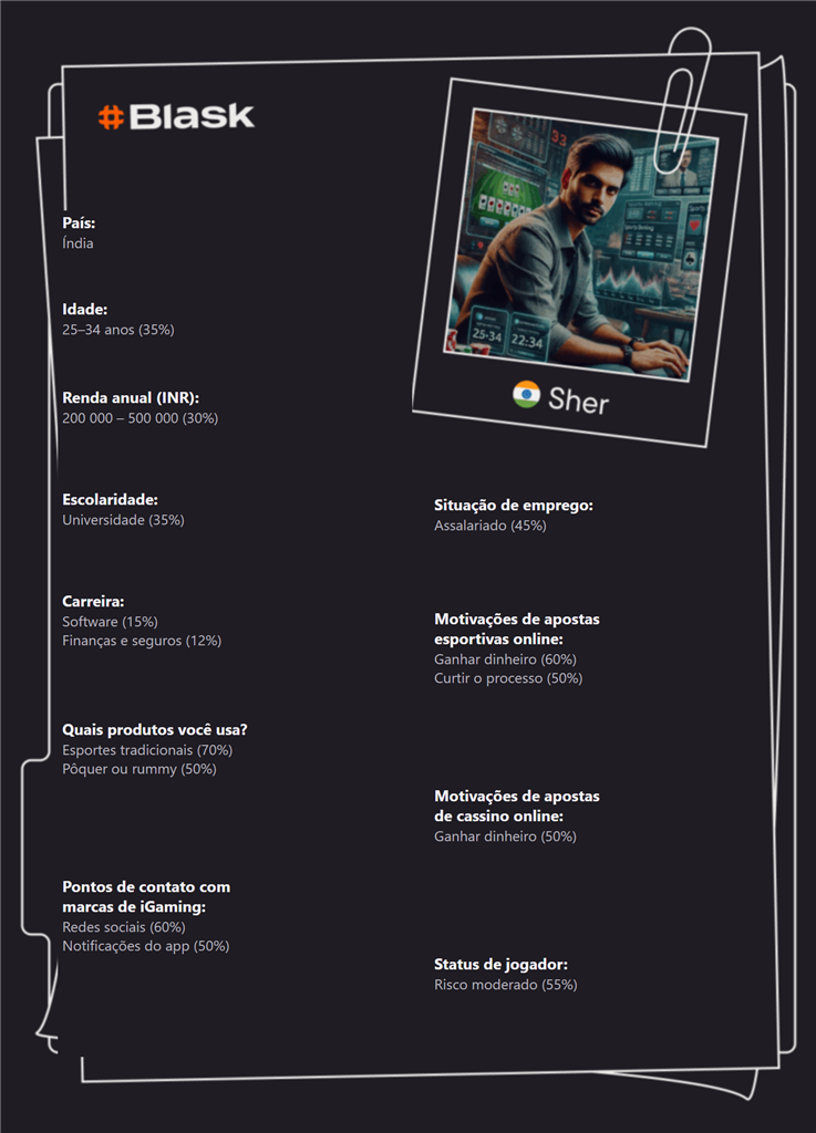 Cartão Customer Profile de Sher na Índia, com renda, carreira, motivações e risco de jogo.