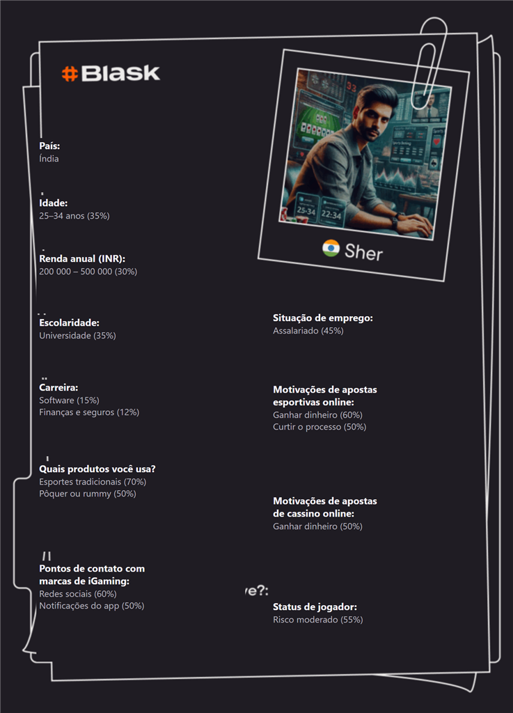 Customer Profile da Blask na Índia, com renda, produtos e risco de Sher.